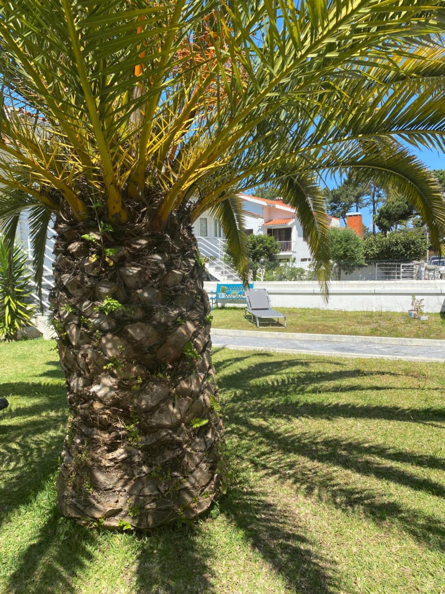 Апартаменти Itaca Experience Playa Do Cabedelo Віана-ду-Каштелу Екстер'єр фото